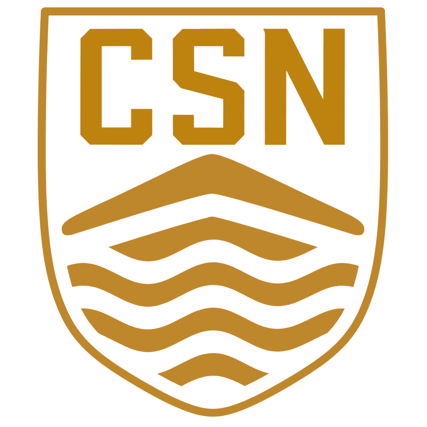 CS-Next Logo